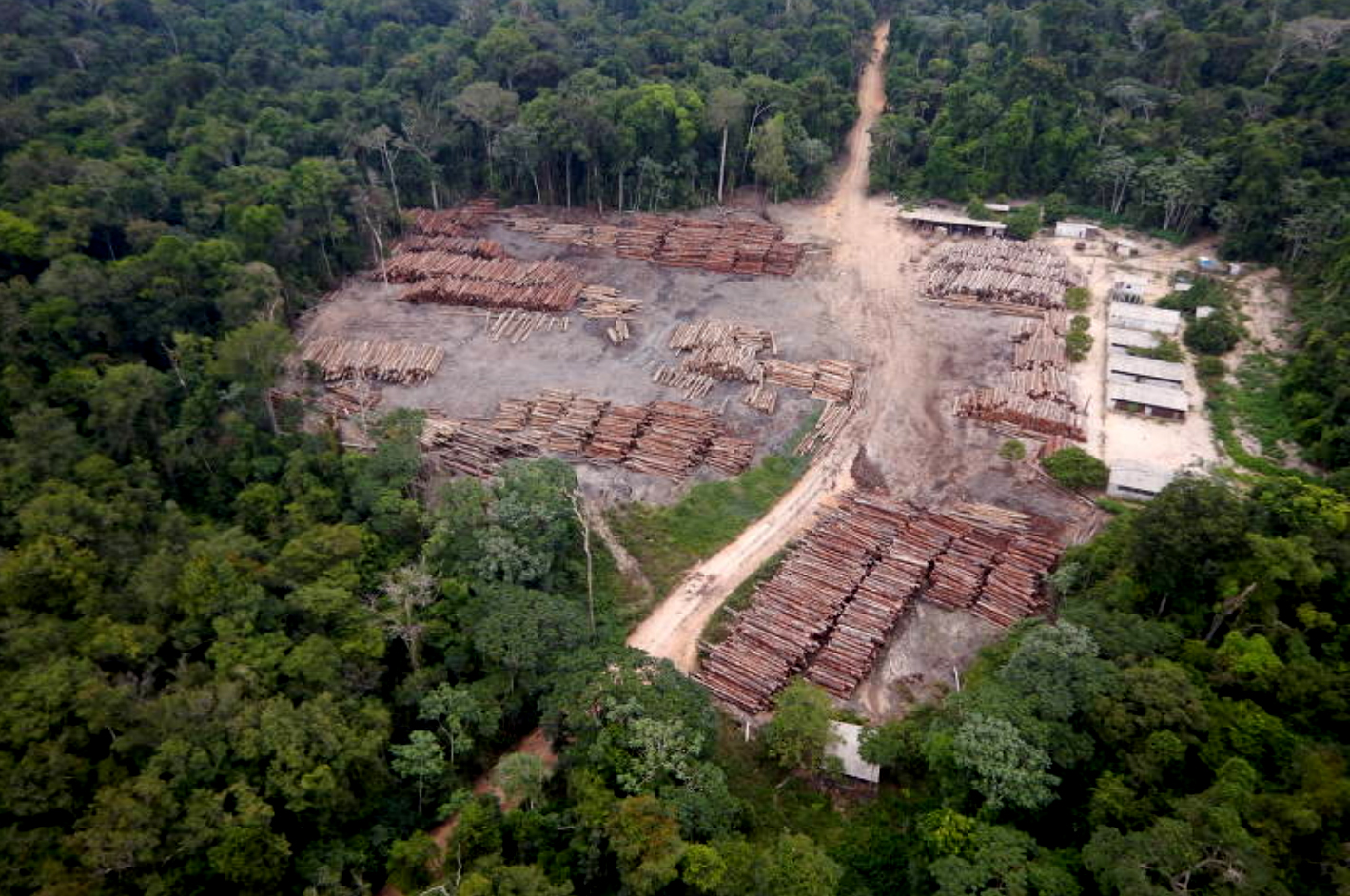 O herói do Acre - Amazônia Real