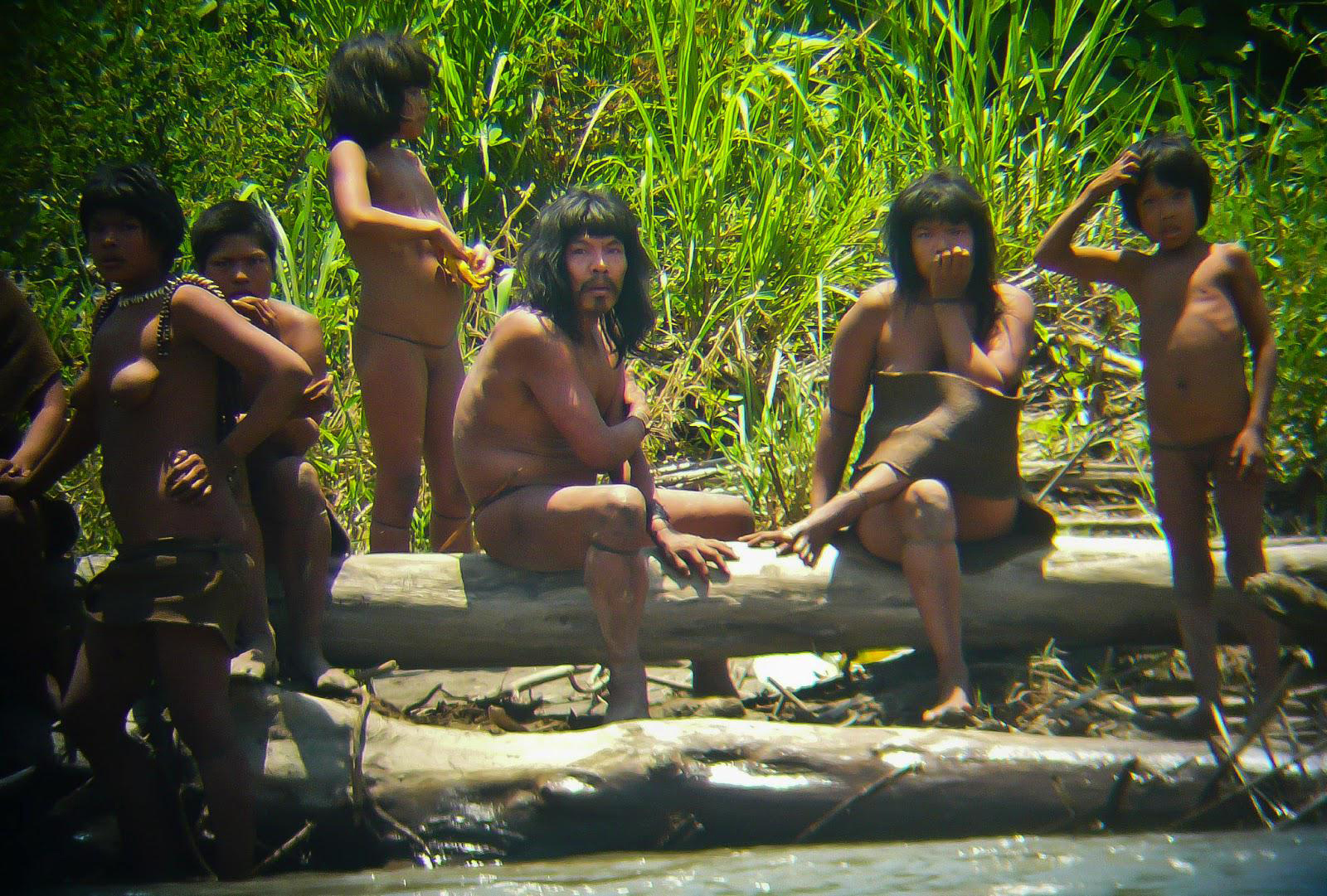 Indígenas isolados que vivem no Peru se refugiam no Brasil