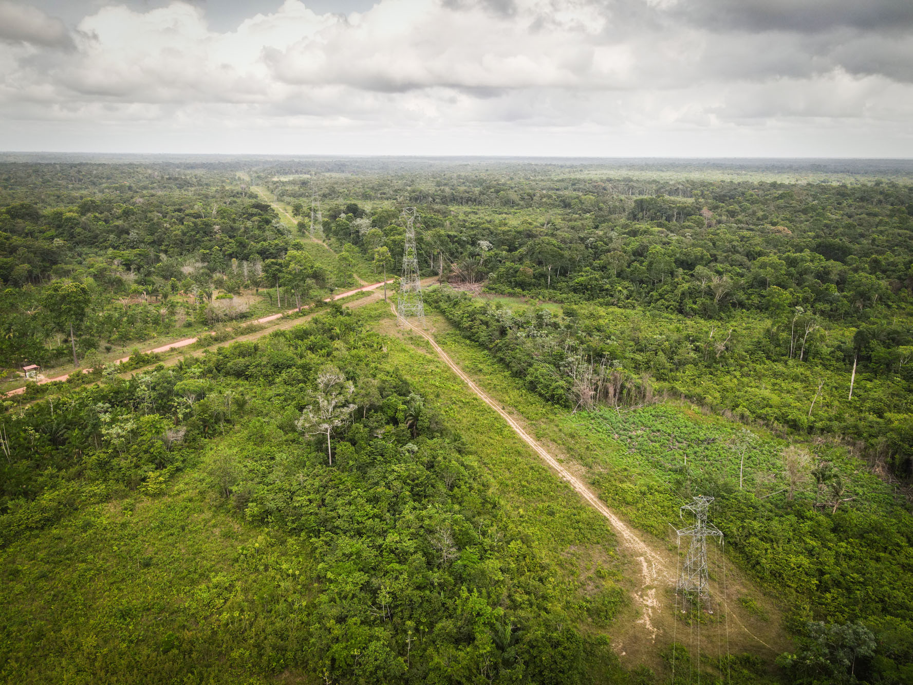 A pandemia e os conflitos no território Jambuaçu, no Pará