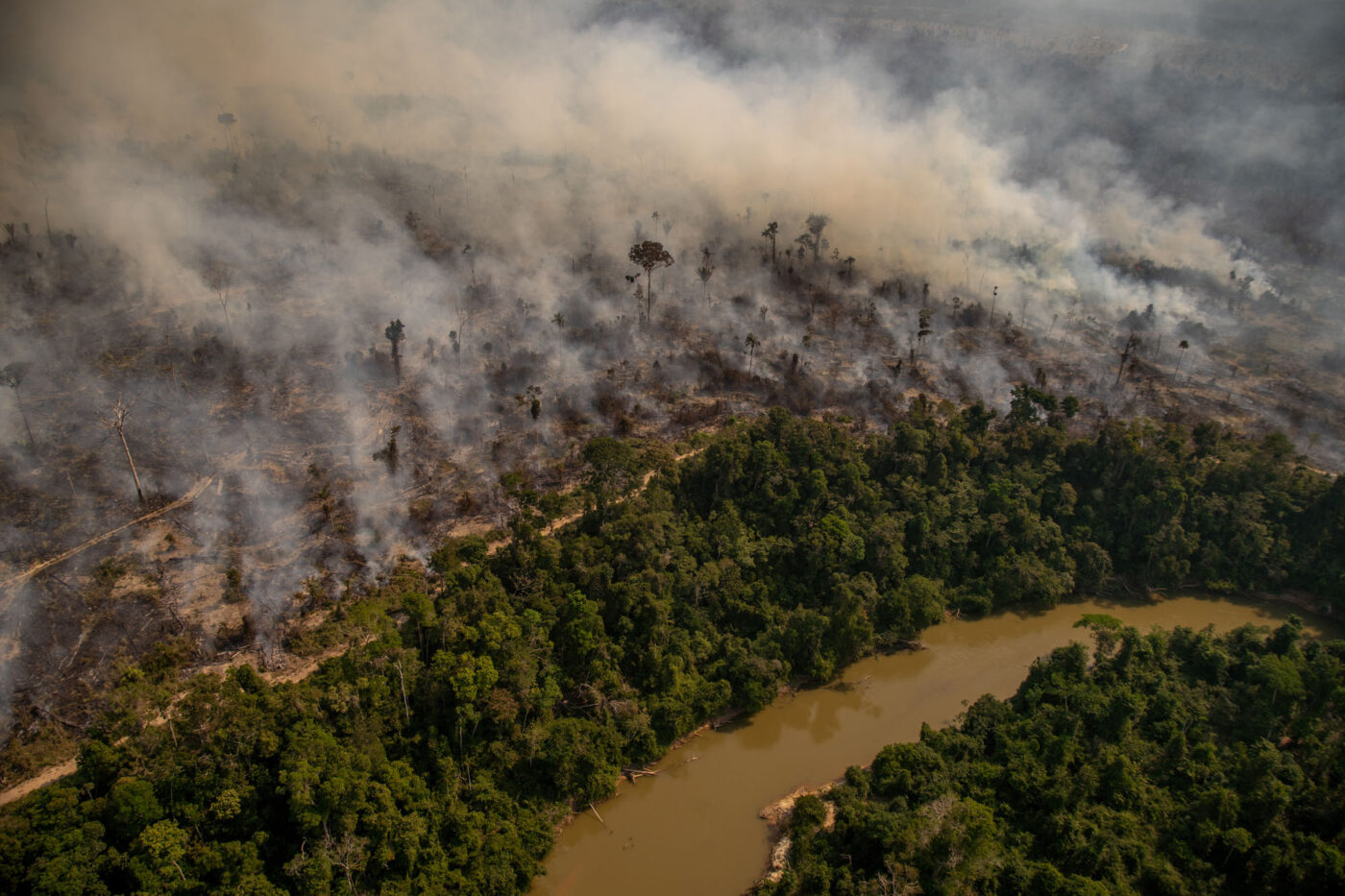 Na reserva Chico Mendes, no Acre, um retrato da destruição da Amazônia