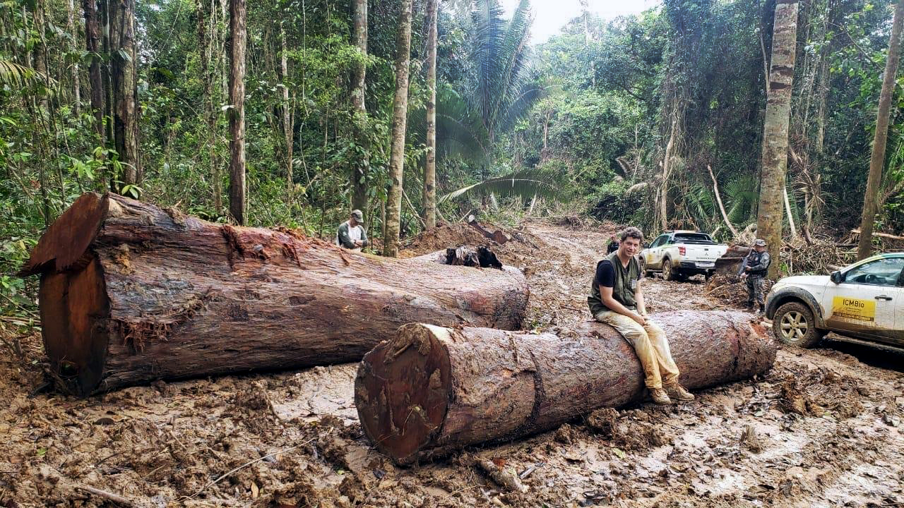 Como o governo Bolsonaro atuou em favor das madeireiras na Amazônia