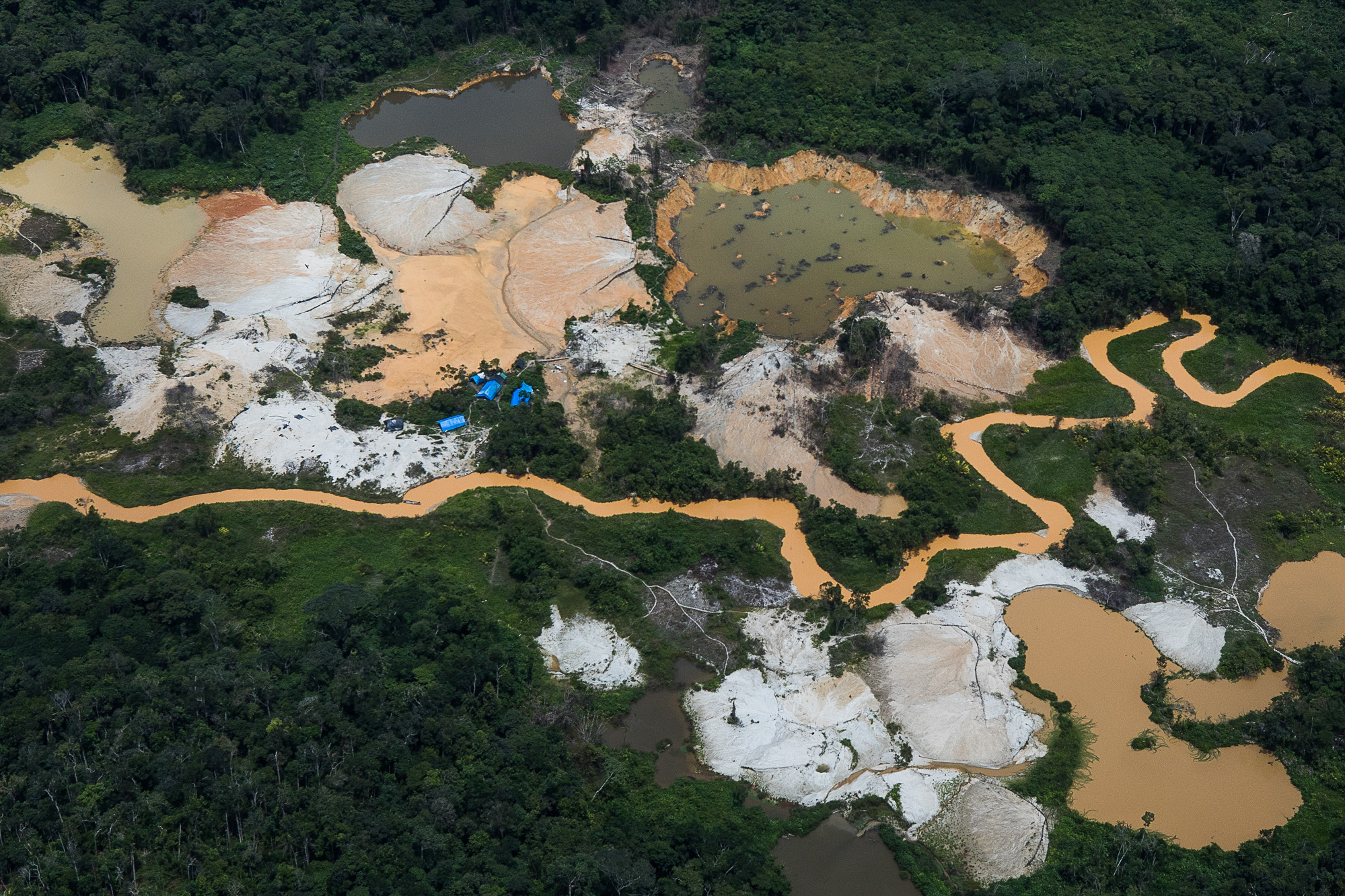 ‘Ouro do Sangue Yanomami’ é finalista no Prêmio Patrícia Acioli de Direitos Humanos