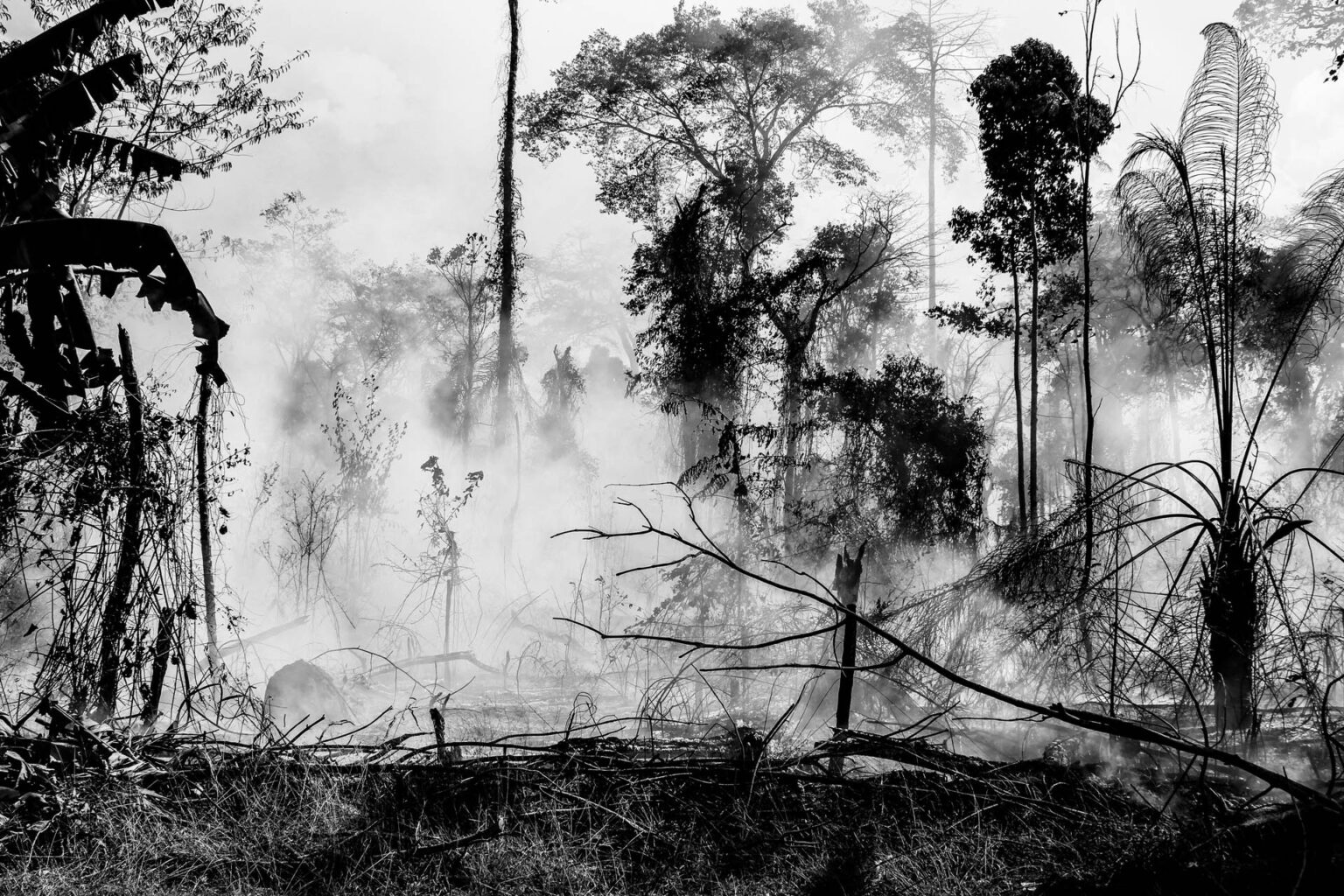 Fotos de Estado de Rondônia: Imagens e fotografias