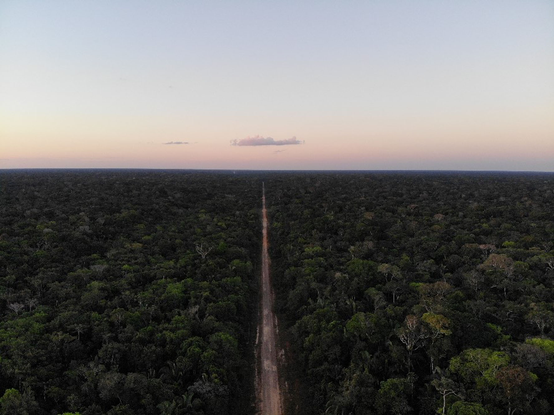 Por que a rodovia BR-319  to prejudicial: 2  A ameaa aos servios ambientais da floresta amaznica