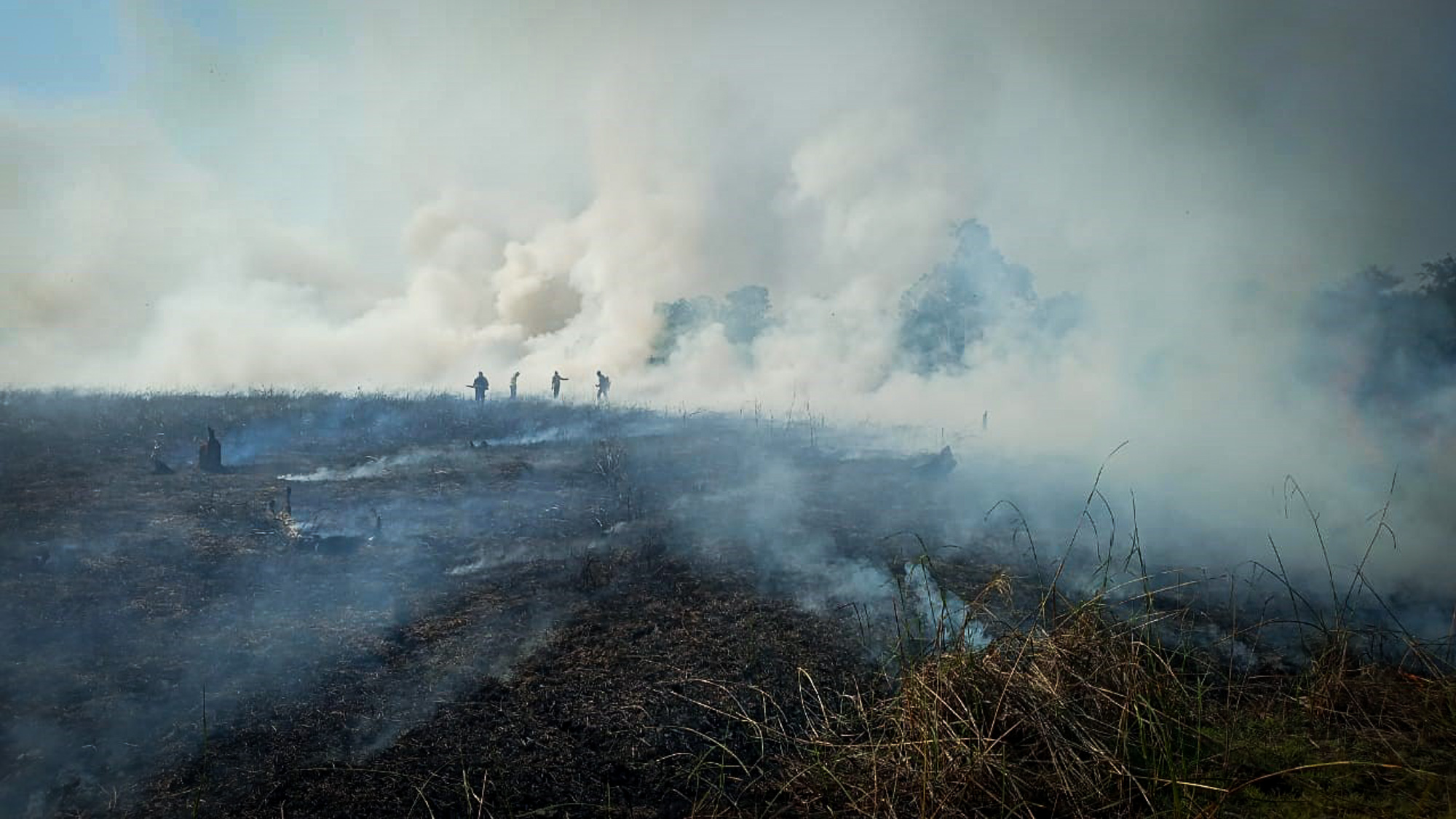 Brigadas voluntárias lutam contra fogo no Xingu
