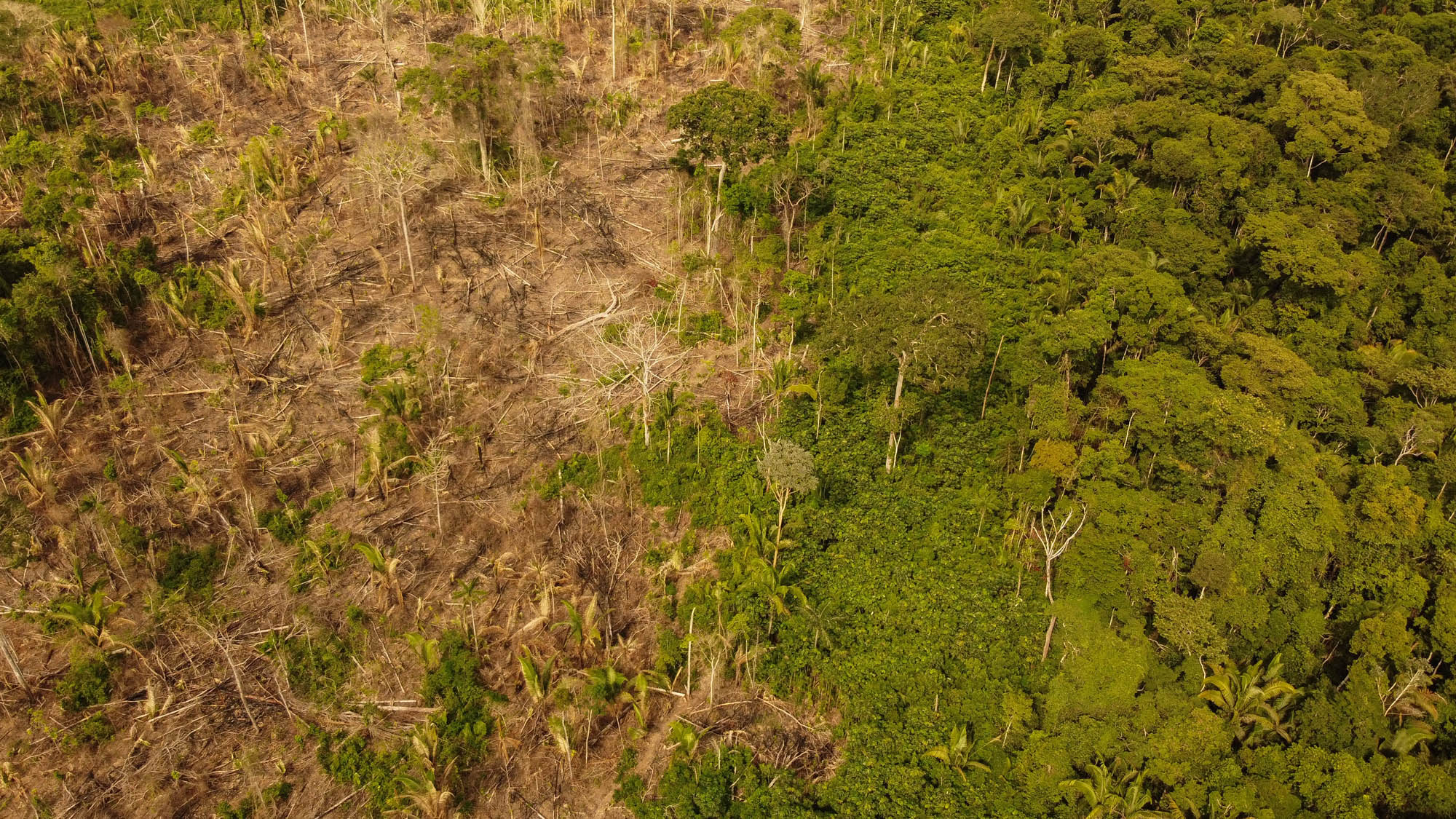 Após testemunhar os empates liderados por Chico Mendes, Xapuri volta a ser  palco por disputas de terra - Jornal A Gazeta do Acre