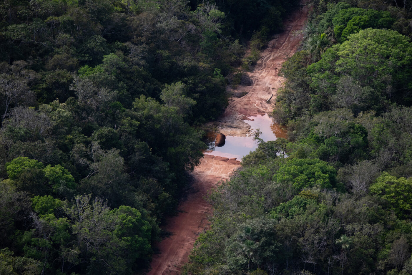 O herói do Acre - Amazônia Real