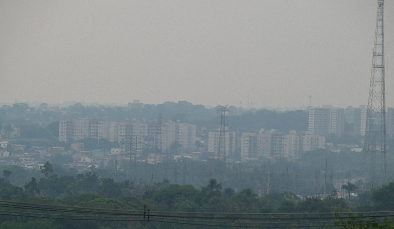 Fumaça de queimadas encobre Altamira, Novo Progresso e Manaus