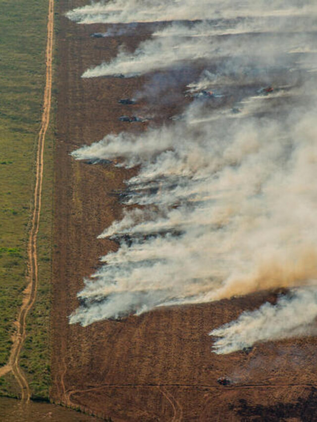Deforestation and Fire Monitoring in the Amazon in July, 2020Monitoramento de Desmatamento e Queimadas na Amazônia em Julho de 2020