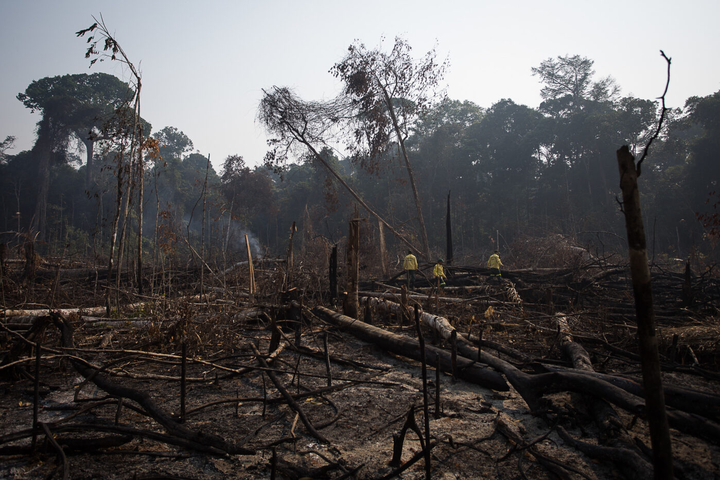 Exploração madeireira e incêndios florestais: 8 – Métodos para avaliar a  vulnerabilidade a incêndio - Amazônia Real