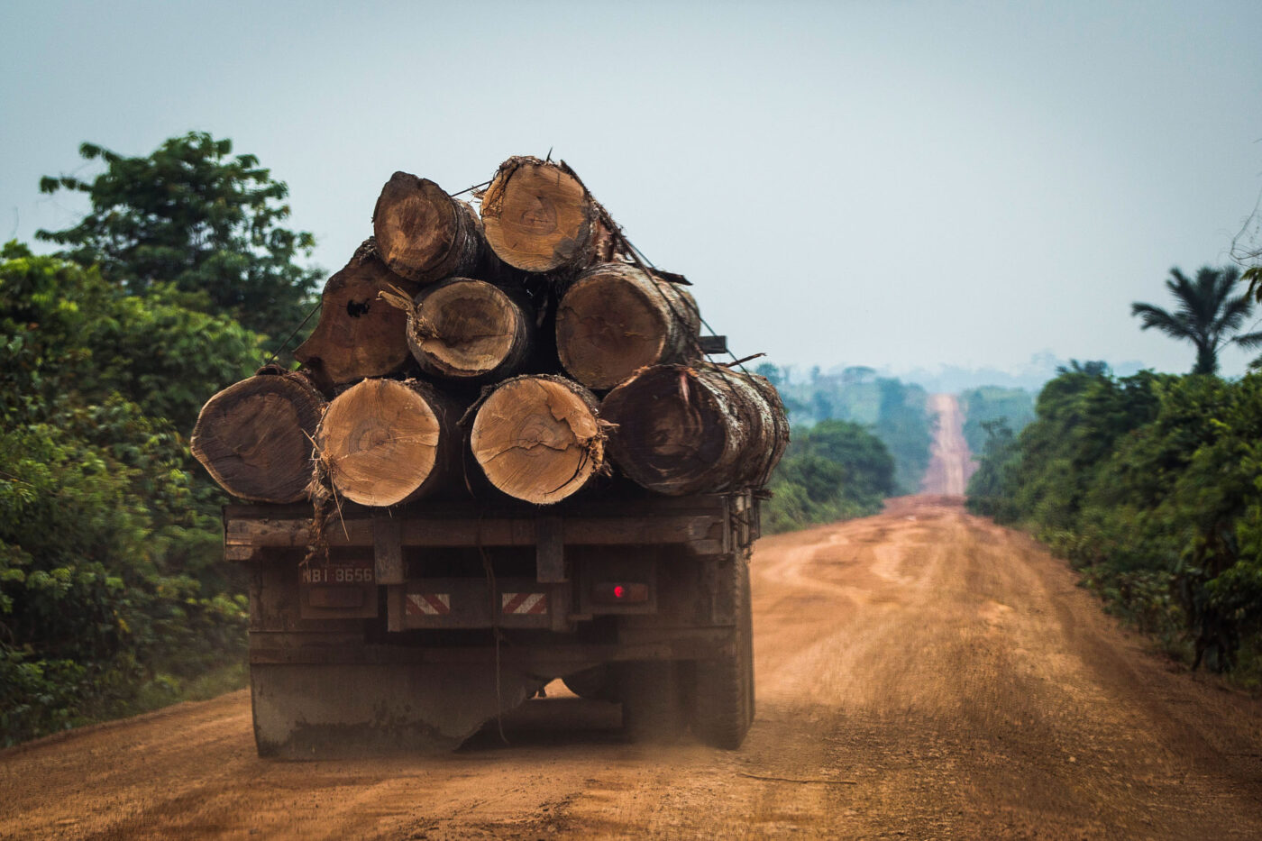 Exploração madeireira e incêndios florestais: 8 – Métodos para avaliar a  vulnerabilidade a incêndio - Amazônia Real