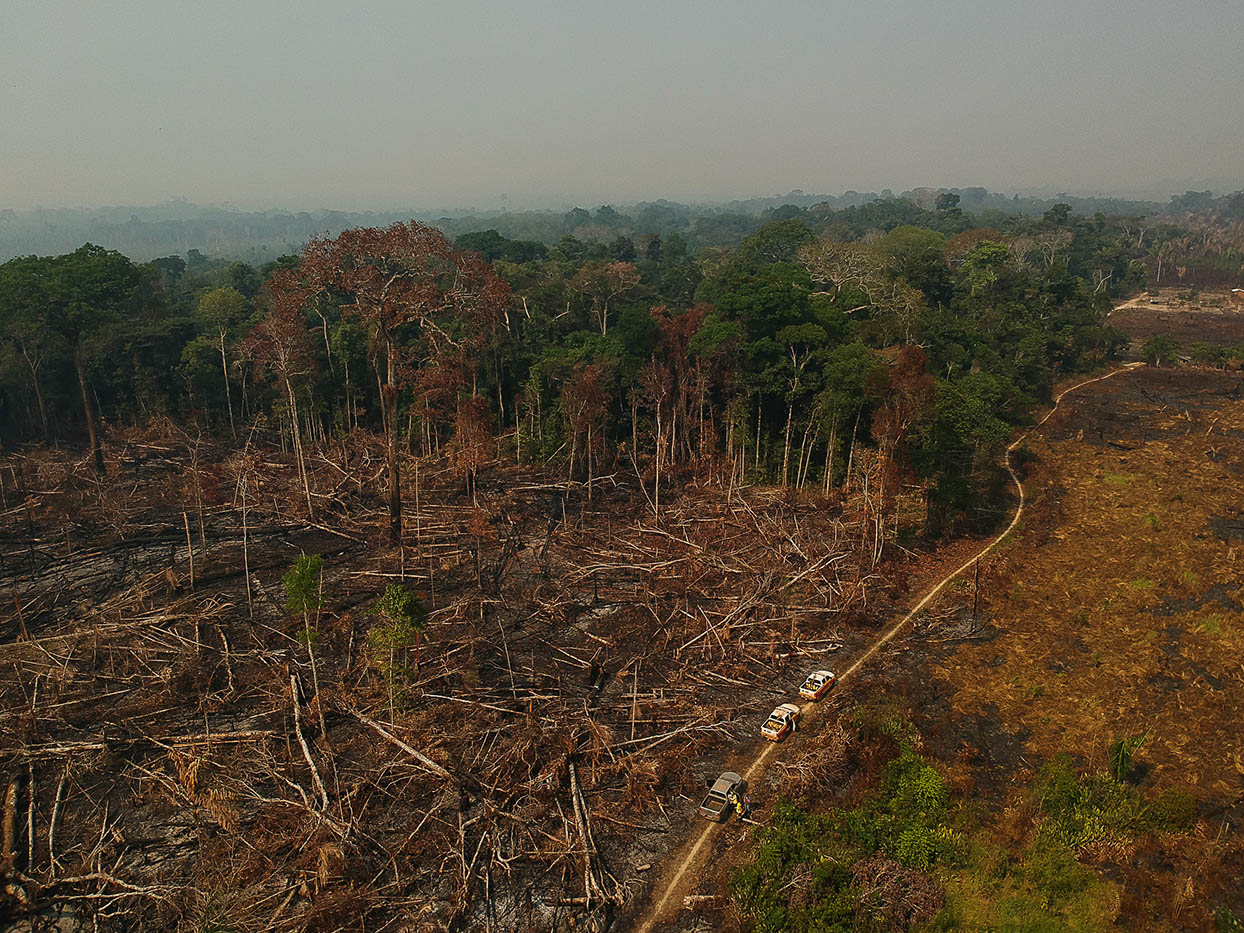 Exploração madeireira e incêndios florestais: 8 – Métodos para avaliar a  vulnerabilidade a incêndio - Amazônia Real