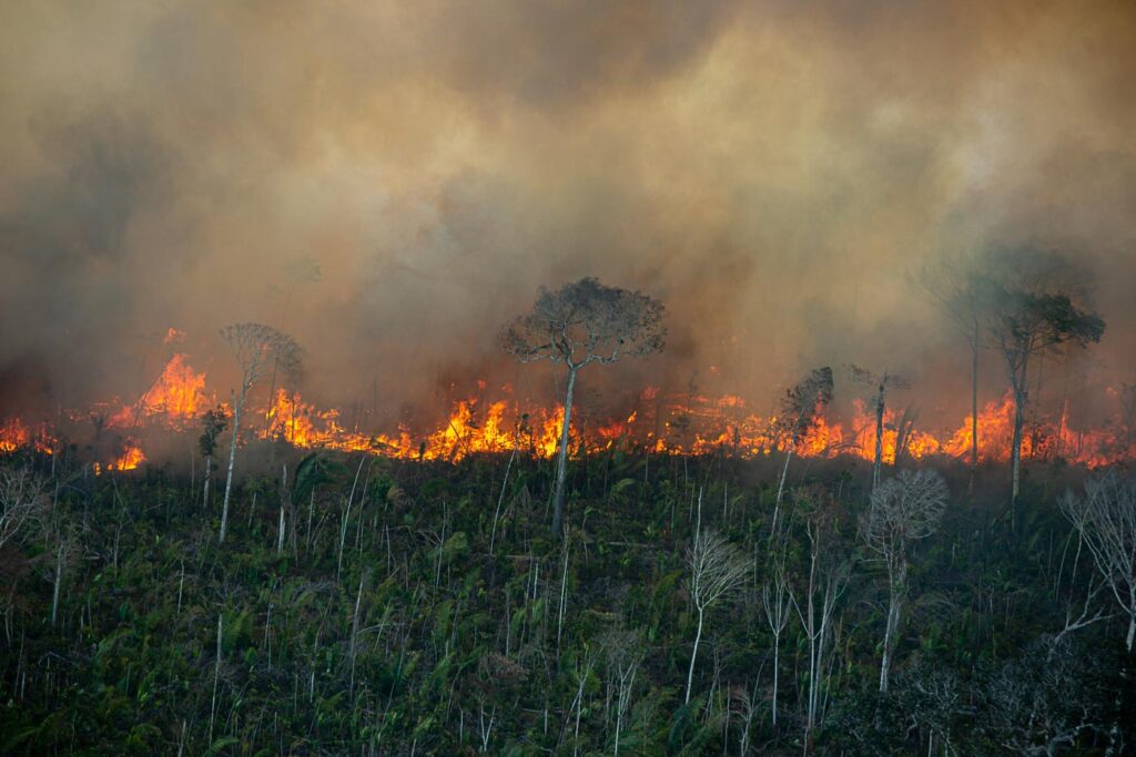 Fumaça de incêndios florestais nos EUA é mais tóxica do que se pensava