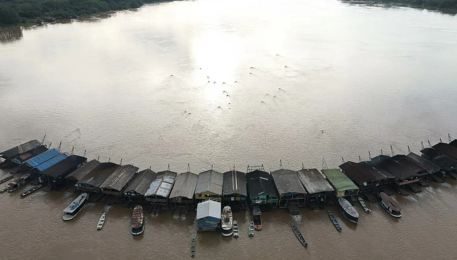 The hunger for gold in the Madeira River - Amazônia Real