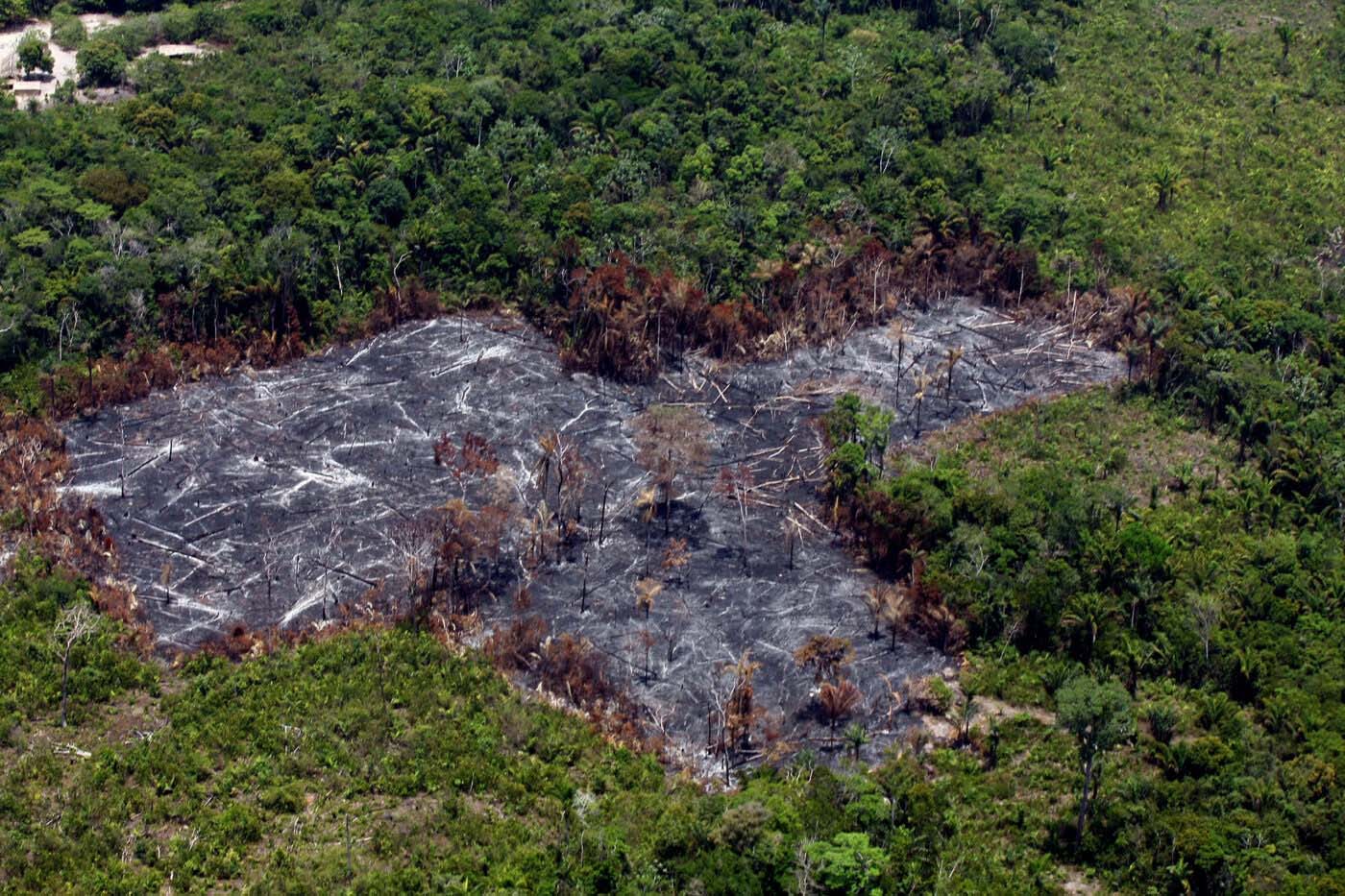 O herói do Acre - Amazônia Real