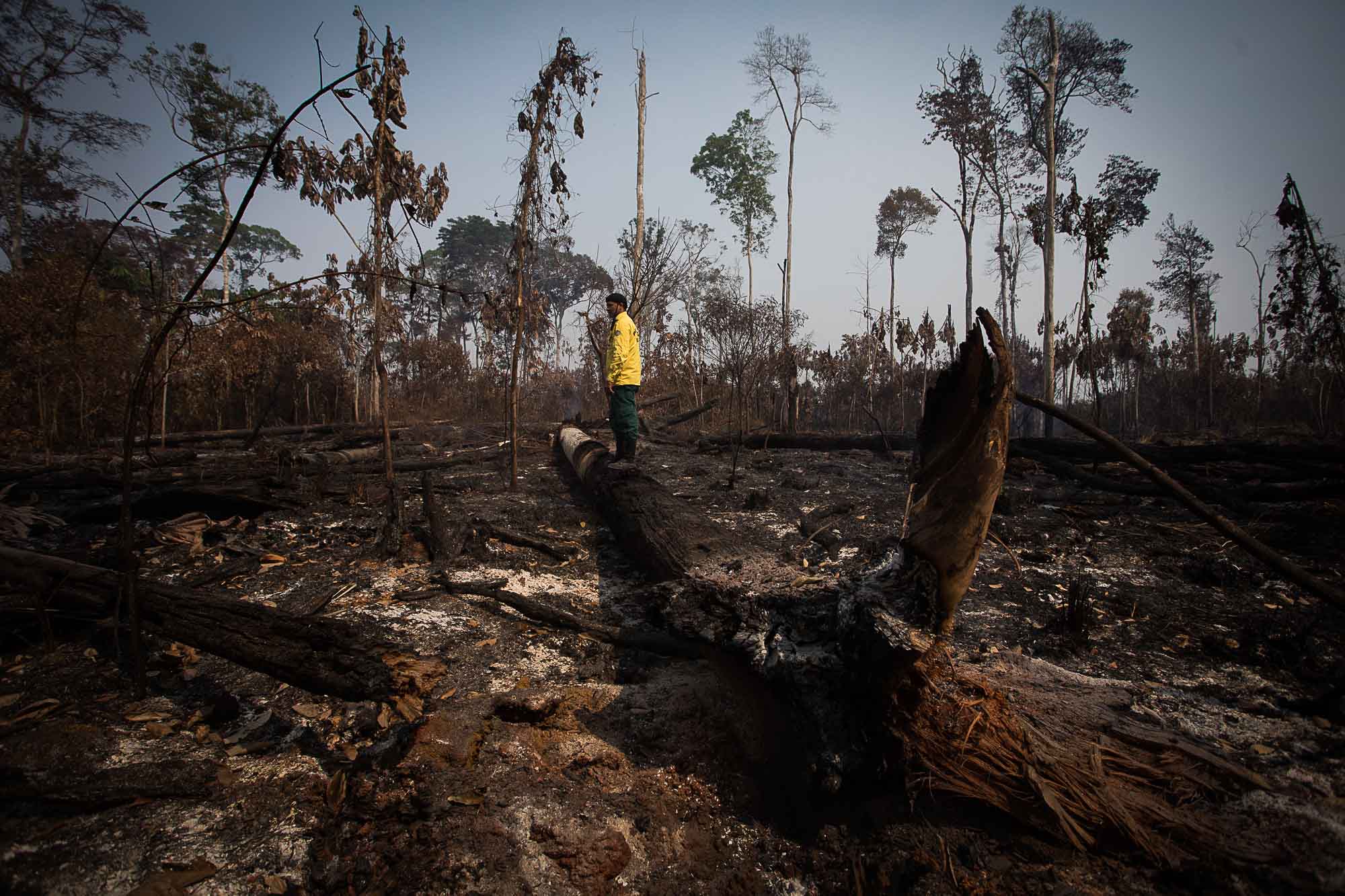 El Niño pode potencializar fogo na Amazônia, alertam cientistas - Amazônia  Real