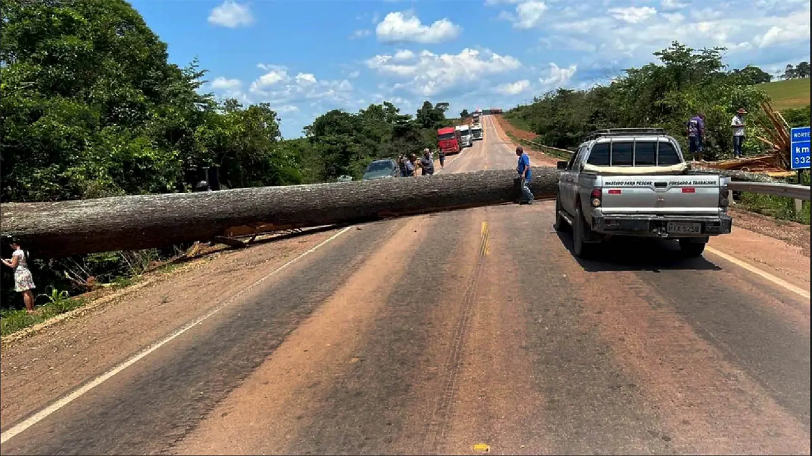 Trânsito Agora na Rodovia Transamazônica BR 230 