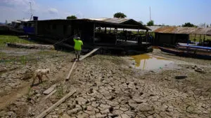 O herói do Acre - Amazônia Real