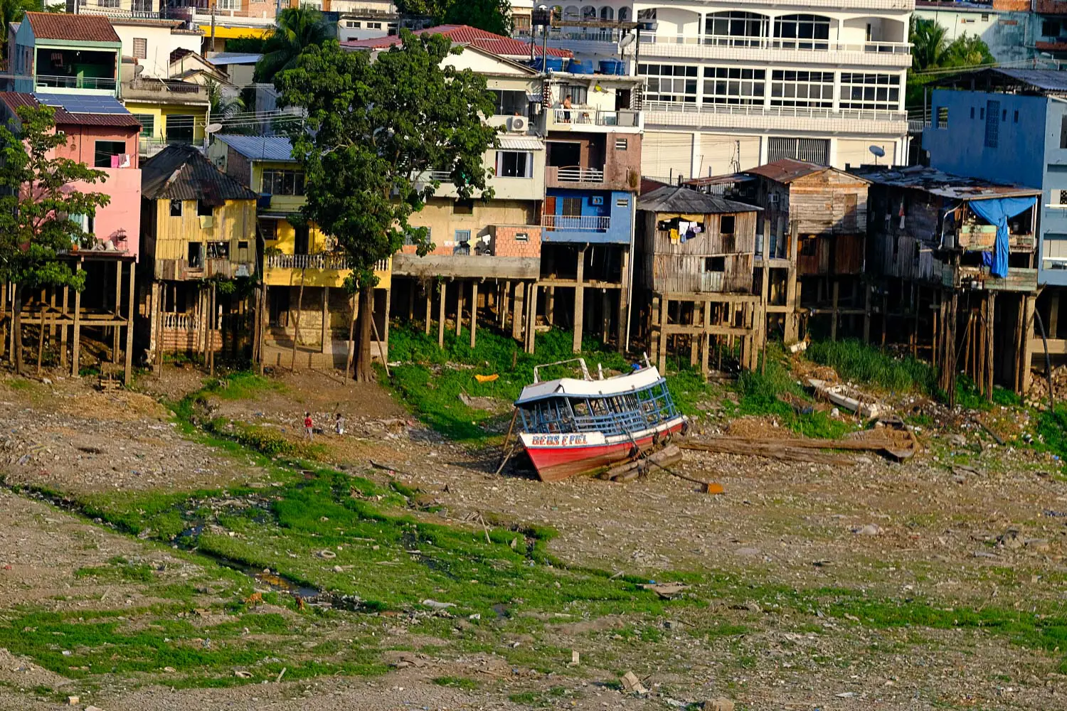 Seca no as deixa cidades isoladas e com escassez de alimento -  Amazônia Real