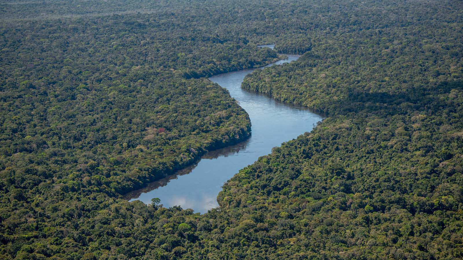 Exploração madeireira e incêndios florestais: 8 – Métodos para avaliar a  vulnerabilidade a incêndio - Amazônia Real