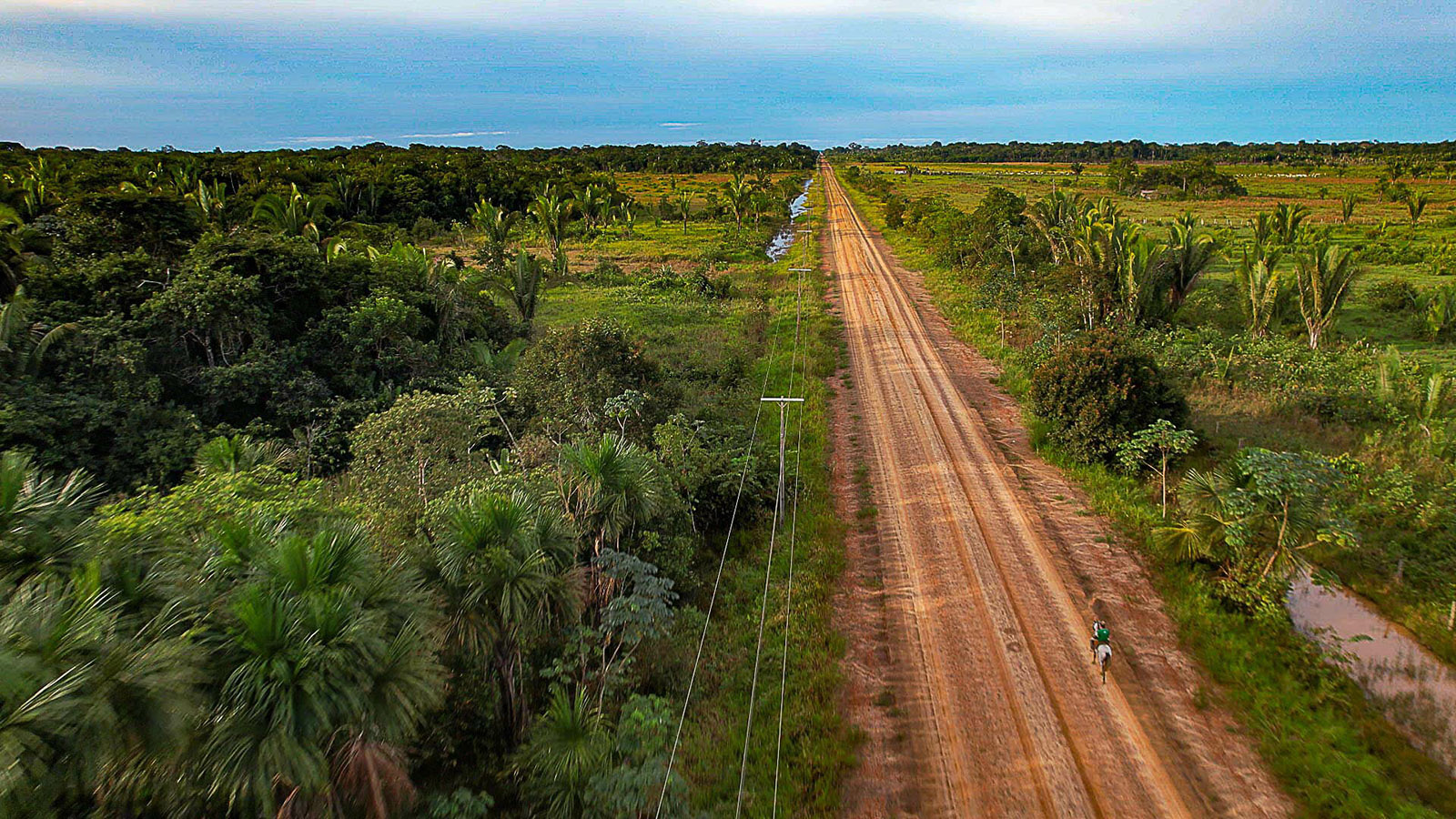 A Agenda Transversal Ambiental do PPA20242027 Os elefantes na sala