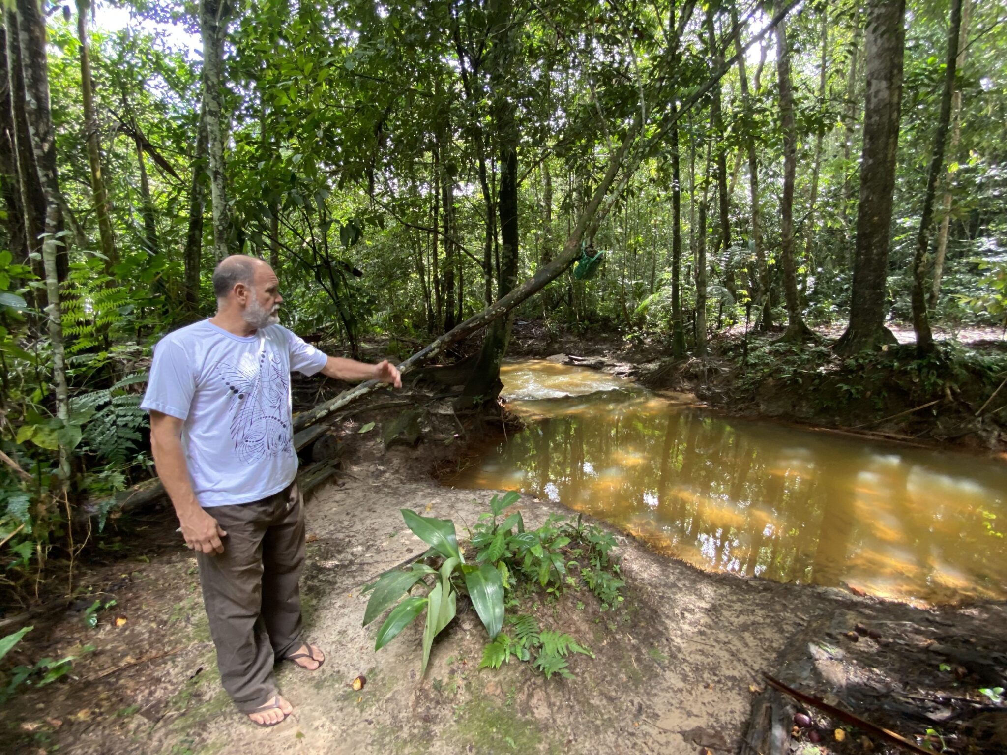 Último igarapé vivo de Manaus está ameaçado