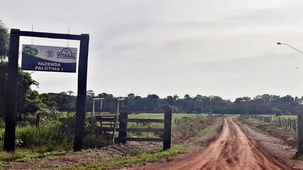 Imagem da Porteira da Fazenda Palotina em Lábrea(AM)