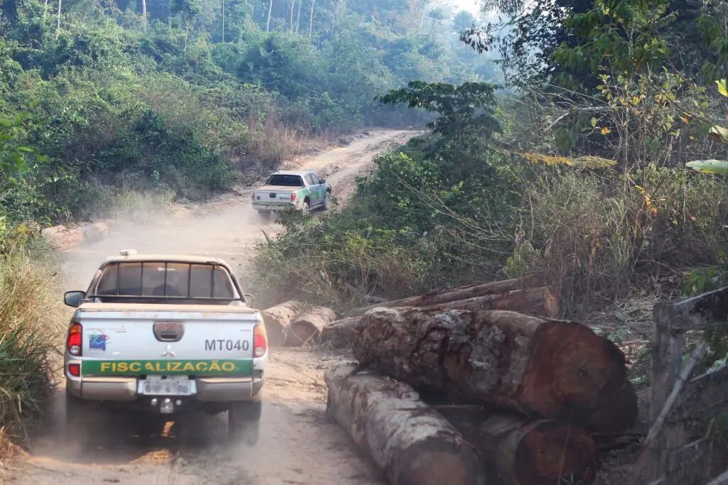 Ibama combate desmatamento ilegal na região de Castelo dos Sonhos, em Altamira (PA) (Foto: Felipe Werneck/Ibama).