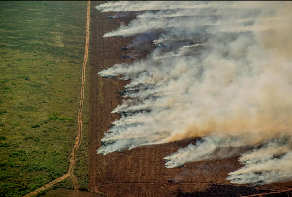 Focos de calor próximos à área com registro de desmatamento do Prodes, em Nova Maringá (MT) (Foto: Crhistian Braga/Greenpeace)