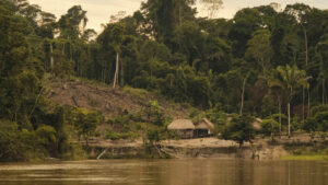 Ocupação irregular em T. I. Karipuna (Foto: Alexandre Cruz Noronha/Amazônia Real/2022).
