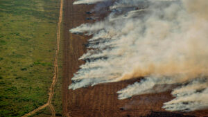 Focos de calor próximos à área com registro de desmatamento Prodes, em Nova Maringá (MT). (Foto: Crhistian Braga/Greenpeace/ 07/2020)