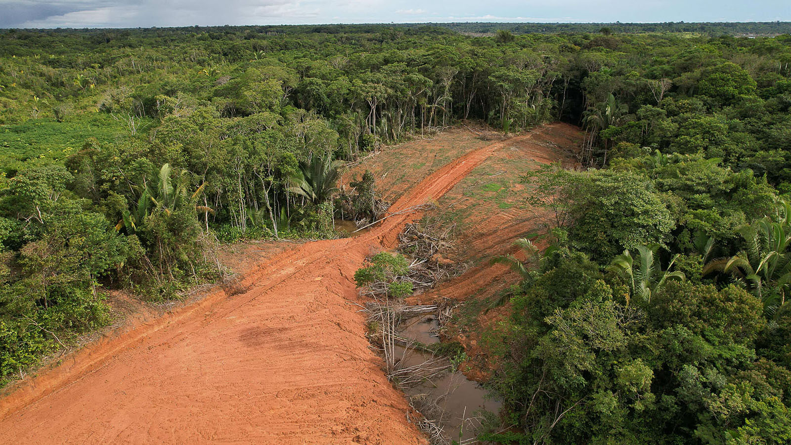 Última chance para a floresta amazônica brasileira? – 3: desmatamento ...