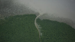 A foto que abre este artigo mostra o Parque Nacional do Cabo Orange, localizado na região norte do estado do Amapá, no extremo norte do Brasil. A região está sob a mira da indústria petrolífera internacional. O local abriga biomas diversos, como manguezais e florestas tropicais