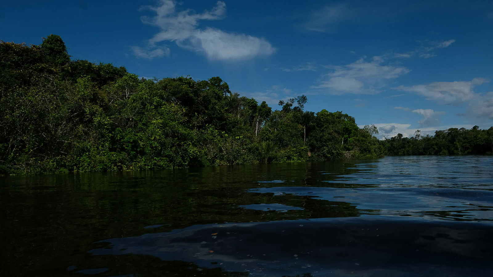 Uma utopia amazônica com ressalvas-3: objetivos e impedimentos para uma ...