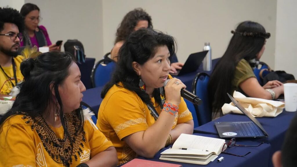 Nos dias 28 e 29 de agosto, a coordenadora Mariazinha Baré participou da pré-COP da Rede de Fundos Comunitários da Amazônia, representando a APIAM como parte do Conselho Deliberativo do Fundo Podáali.