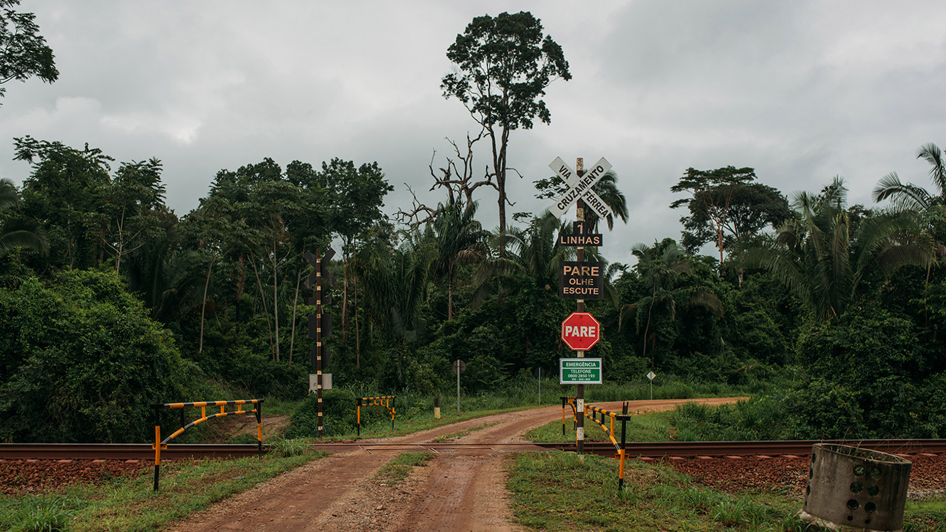 Trilhos que cortam a extremidade da Terra Indígena Mãe Maria (Foto: Ingrid Barros/Observatório da Mineração/2023).
