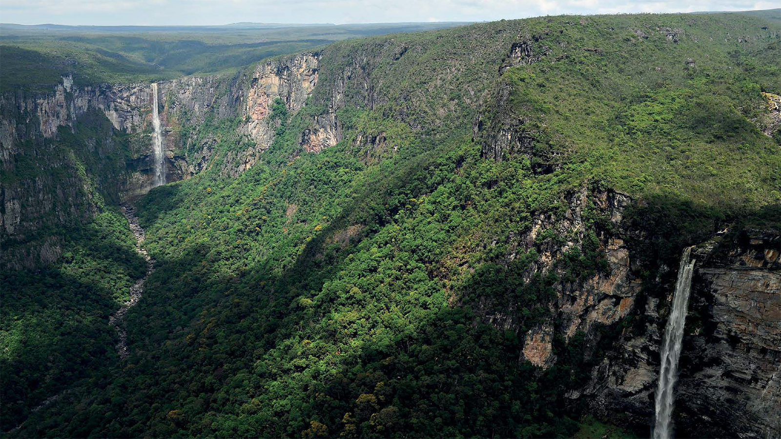 Serra do Aracá, no Amazonas (Foto: Ricardo Azoury / Acervo Jardim Botânico RJ).