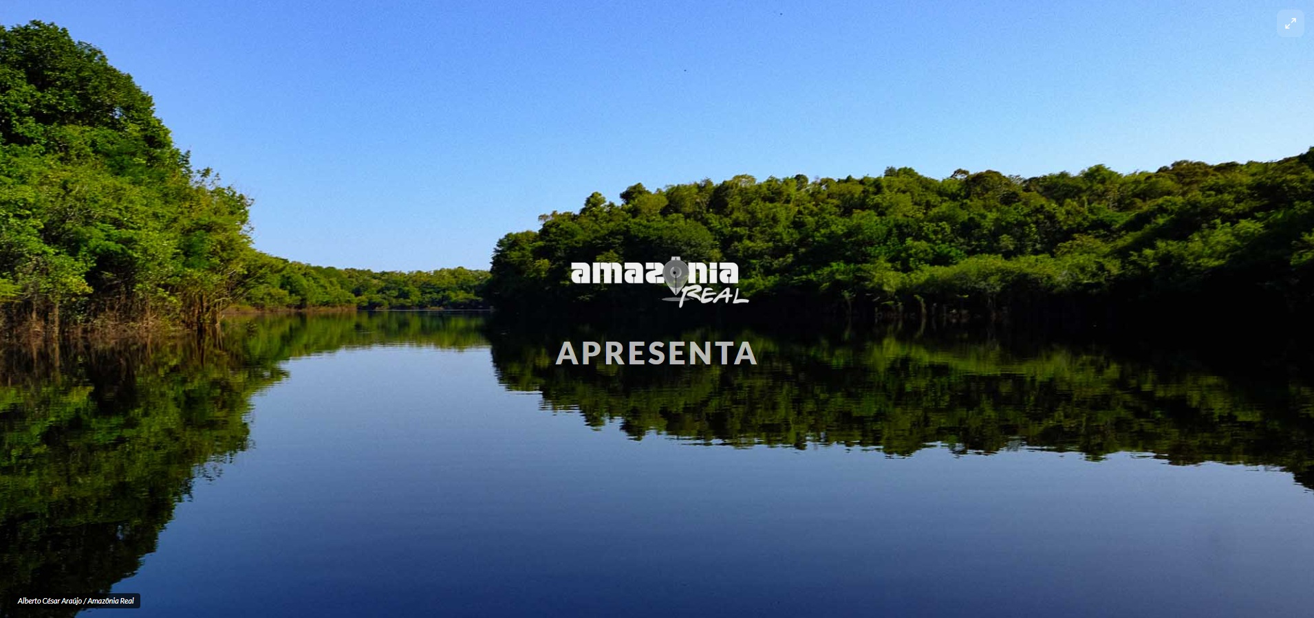 Jogo da Amazônia: decida dilemas reais da crise climática