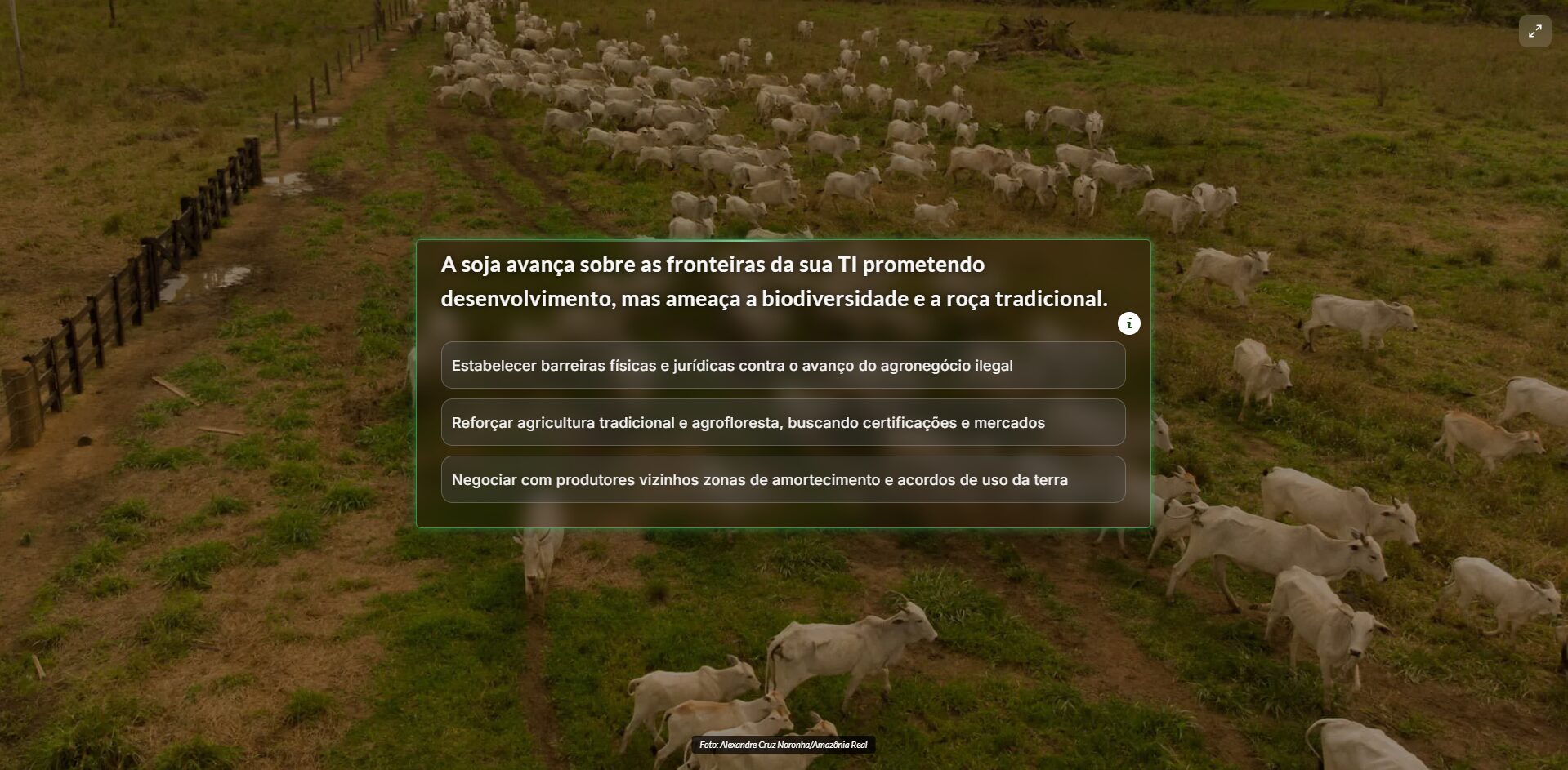 Tela de um dos 104 dilemas construídos