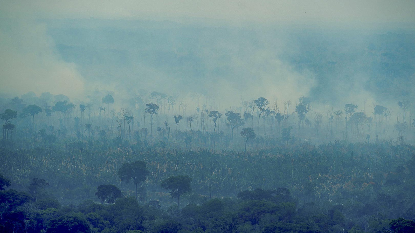 Queimadas na região de Autazes, em 11 de outubro, região com mais focos de incêndio no Amazonas (Foto: Rogério Cassimiro/MMA)